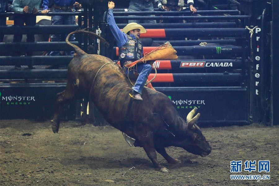 蒂姆重返赛场，重要助攻首场状态出色，加拿大队观众沸腾！全场沸腾不已(蒂姆·卡希尔)